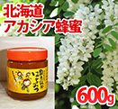北海道アカシア蜂蜜　瓶容器600ｇ